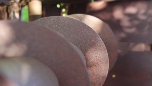 photograph specialist Pearland and Houston